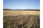 Property photo 20 - 159 Acres Offered in 7 Tracts